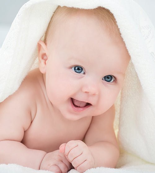 Bebes - Electicarshop