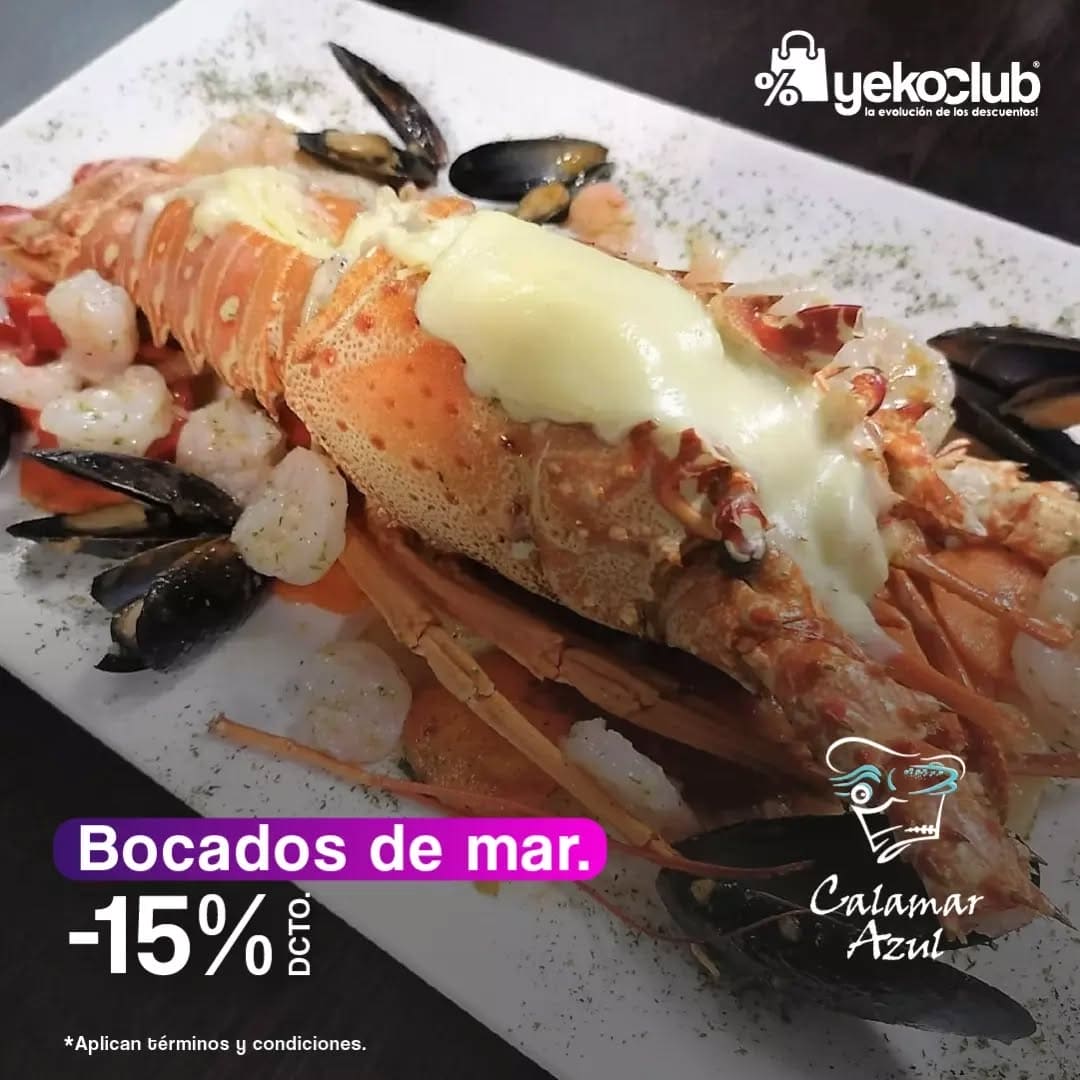 MEMBRESÍA YEKOCLUB