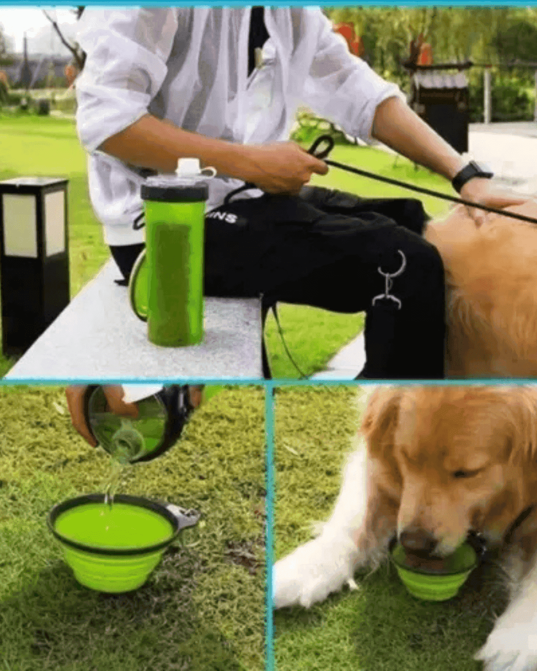 BOTILITO PORTA COMIDA Y AGUA + PLATO - Electicarshop